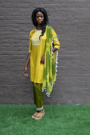 Cotton Embroidered Golden Yellow With Contrast Olive Green Straight pants Set