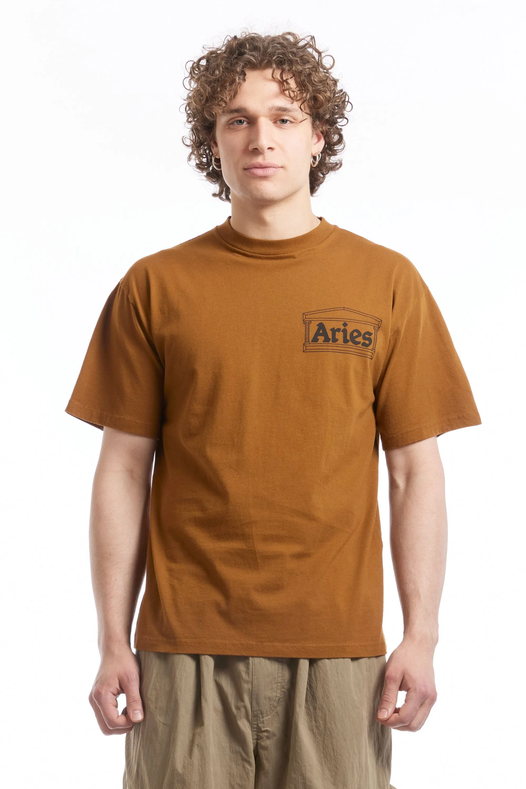 TEMPLE SS TEE BROWN